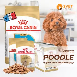 royal-canin-poodle-puppy-adult-cac-loai