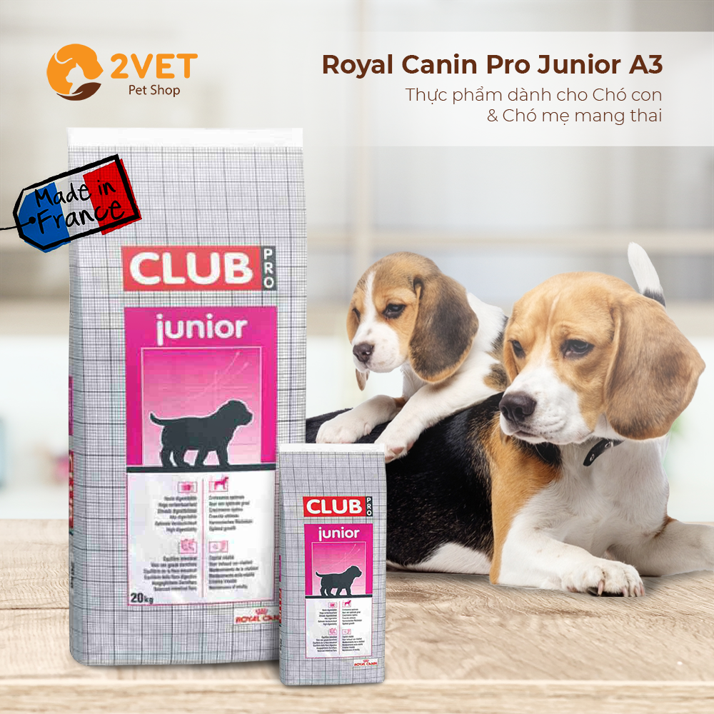 RC Club Pro Junior A3 – Bao 20kg – 2Vet Pet Shop
